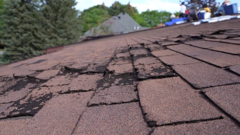 Best Cold Roofs  in Bakerstown, PA
